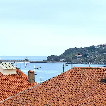 Apartment T2 Avec Grande Terrasse A Port-vendres - Fr-1-309-502